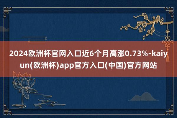 2024欧洲杯官网入口近6个月高涨0.73%-kaiyun(欧洲杯)app官方入口(中国)官方网站