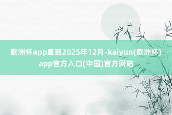 欧洲杯app直到2025年12月-kaiyun(欧洲杯)app官方入口(中国)官方网站