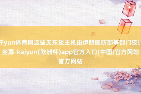 开yun体育网这些无东谈主机由伊朗国防部等部门狡计坐蓐-kaiyun(欧洲杯)app官方入口(中国)官方网站