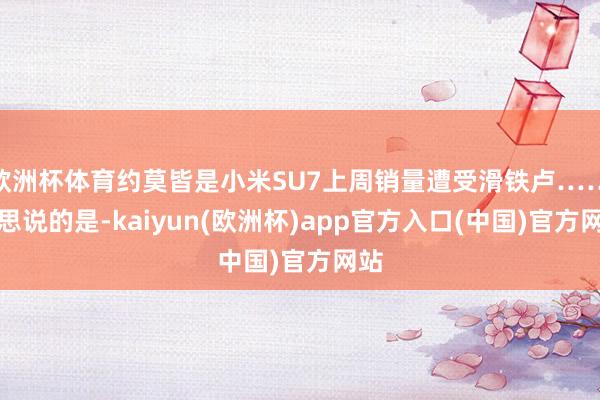 欧洲杯体育约莫皆是小米SU7上周销量遭受滑铁卢……我思说的是-kaiyun(欧洲杯)app官方入口(中国)官方网站