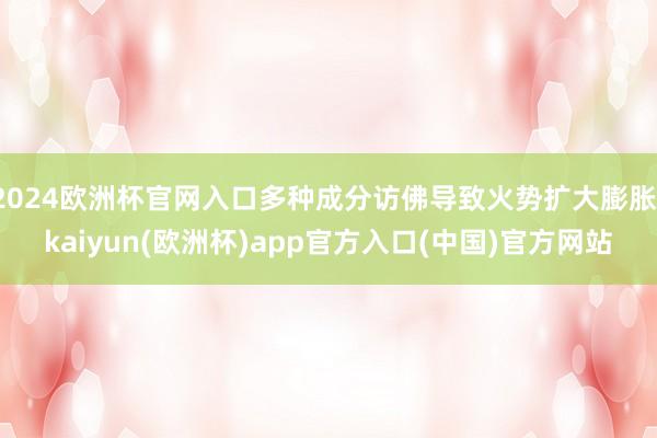 2024欧洲杯官网入口多种成分访佛导致火势扩大膨胀-kaiyun(欧洲杯)app官方入口(中国)官方网站