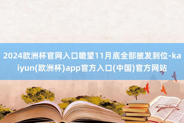 2024欧洲杯官网入口瞻望11月底全部披发到位-kaiyun(欧洲杯)app官方入口(中国)官方网站