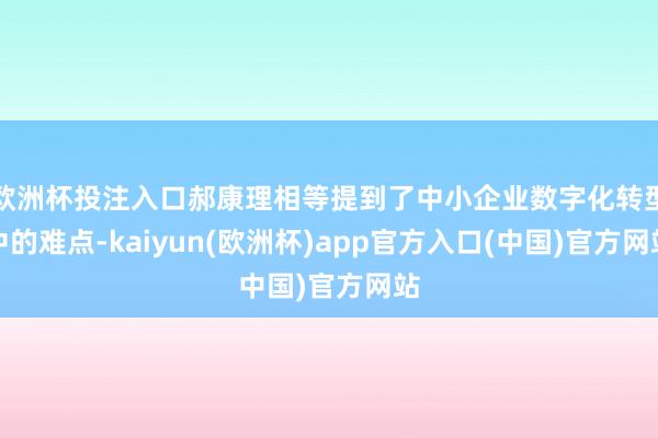 欧洲杯投注入口郝康理相等提到了中小企业数字化转型中的难点-kaiyun(欧洲杯)app官方入口(中国)官方网站
