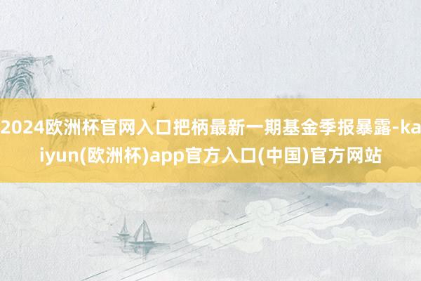 2024欧洲杯官网入口把柄最新一期基金季报暴露-kaiyun(欧洲杯)app官方入口(中国)官方网站