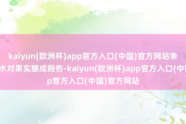kaiyun(欧洲杯)app官方入口(中国)官方网站幸免阳光和雨水对果实酿成毁伤-kaiyun(欧洲杯)app官方入口(中国)官方网站