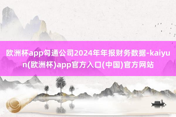 欧洲杯app勾通公司2024年年报财务数据-kaiyun(欧洲杯)app官方入口(中国)官方网站