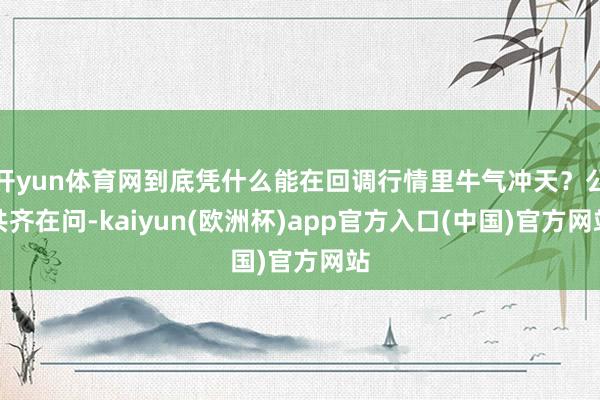 开yun体育网到底凭什么能在回调行情里牛气冲天?公共齐在问-kaiyun(欧洲杯)app官方入口(中国)官方网站